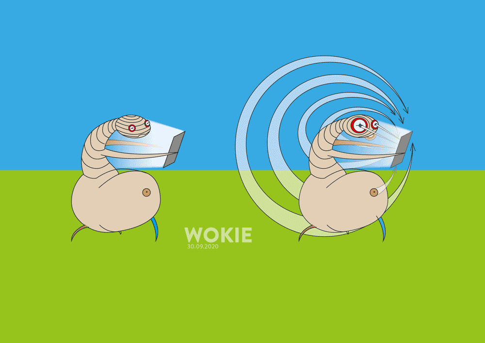 Wokie